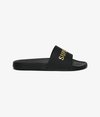 Premium Metallic Pool Sliders